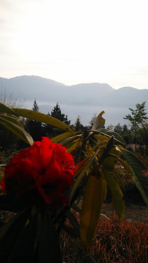 Neora Valley Retreat Hotel Rishop Kültér fotó