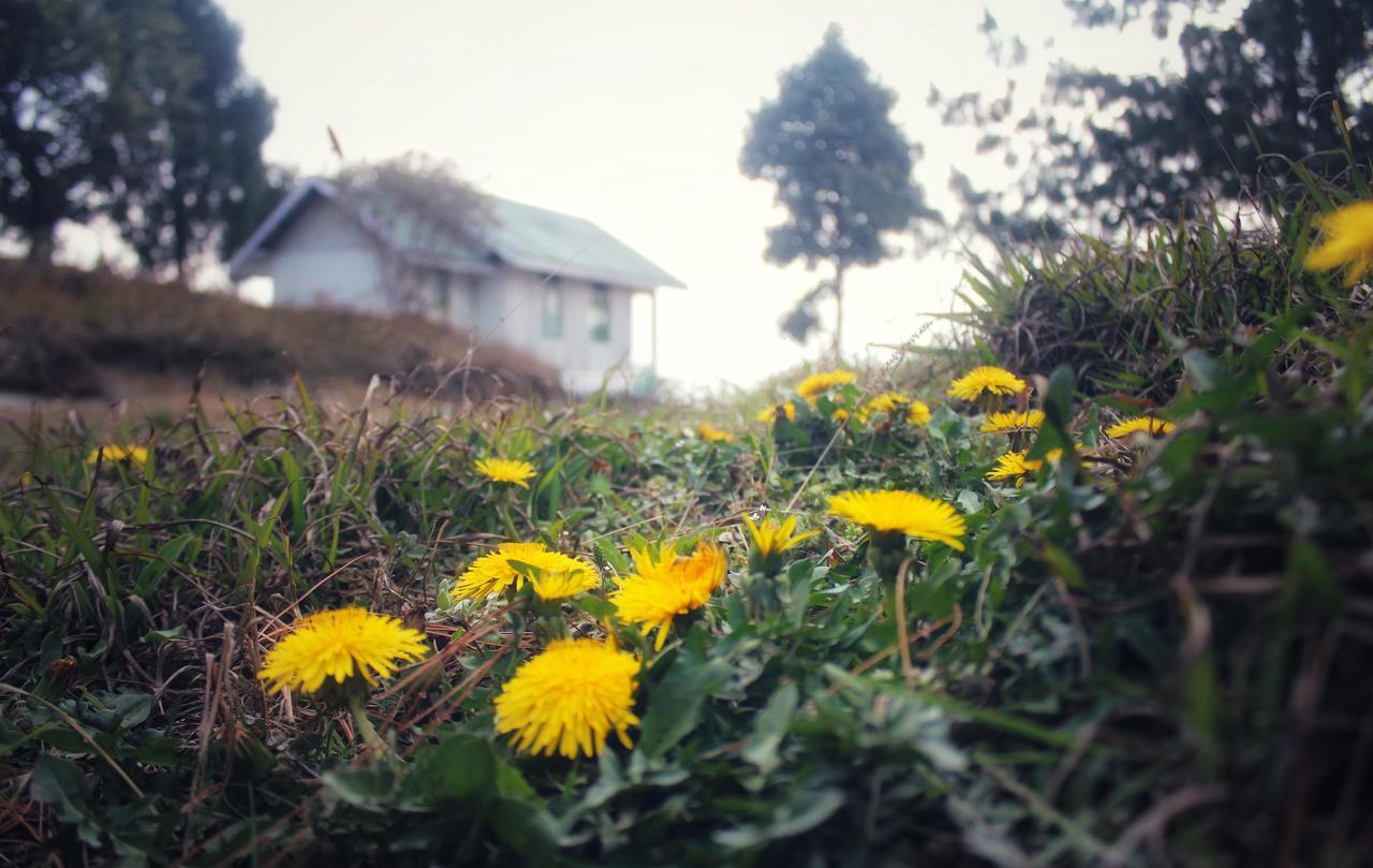 Neora Valley Retreat Hotel Rishop Kültér fotó